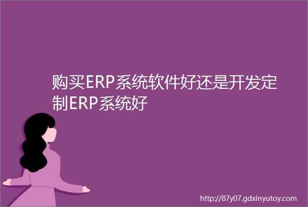 购买ERP系统软件好还是开发定制ERP系统好